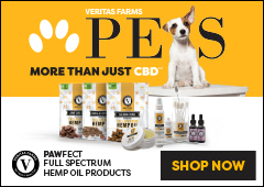 Advertisement - Pet Photography New York - http://petphotographyny.com